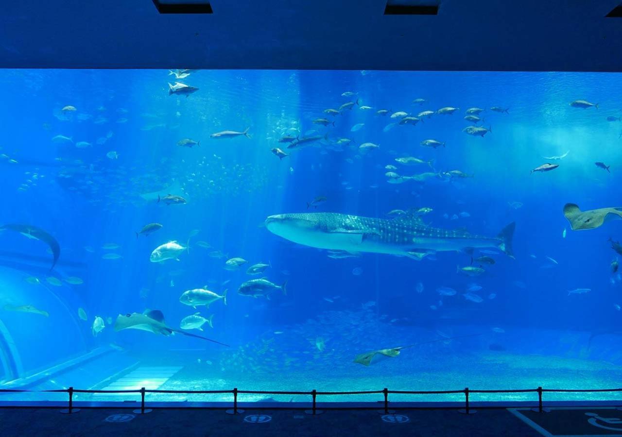 Hotel Mahaina Wellness Resorts Okinawa Extérieur photo